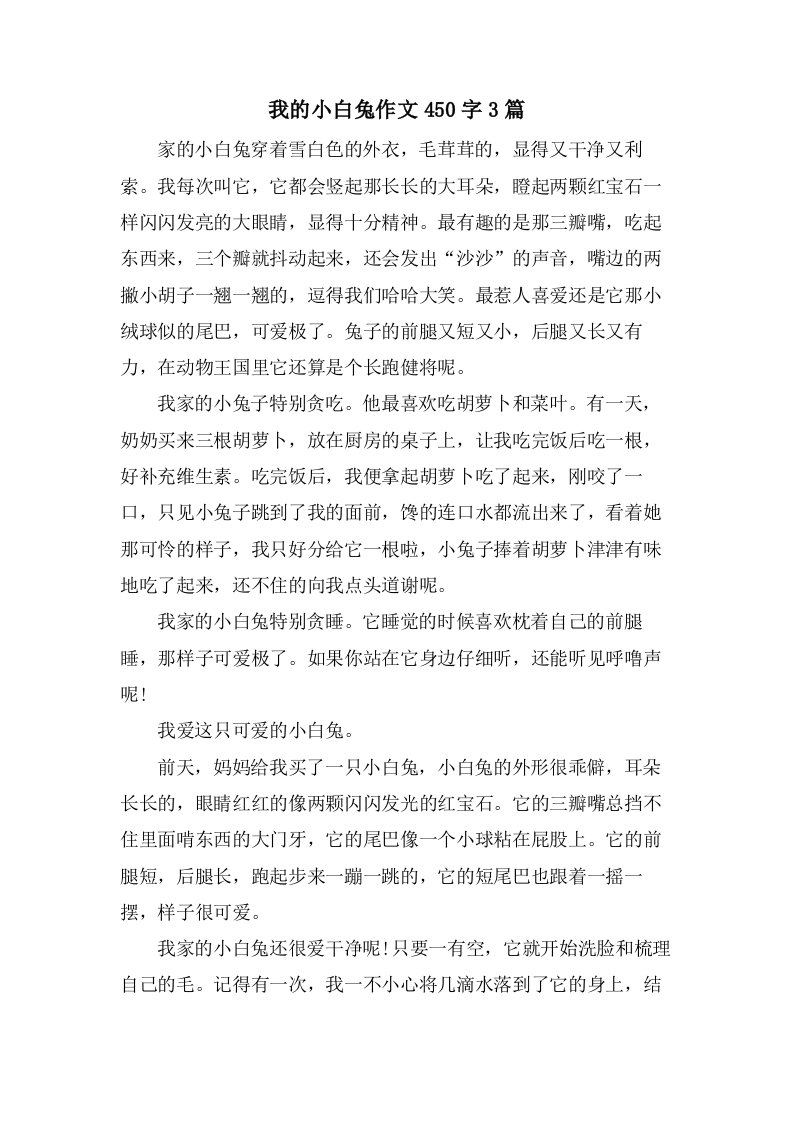 我的小白兔作文450字3篇