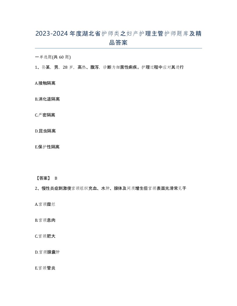 2023-2024年度湖北省护师类之妇产护理主管护师题库及答案