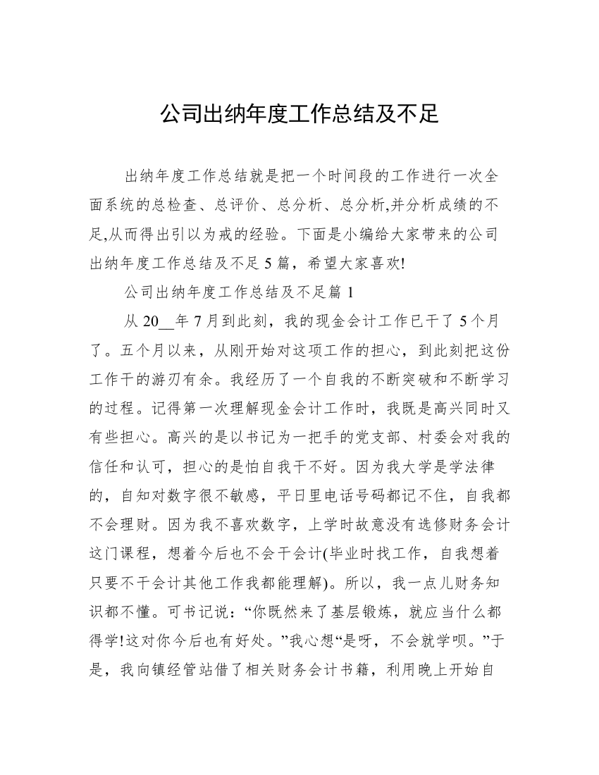 公司出纳年度工作总结及不足