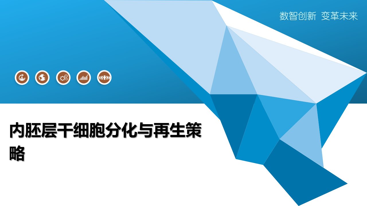 内胚层干细胞分化与再生策略