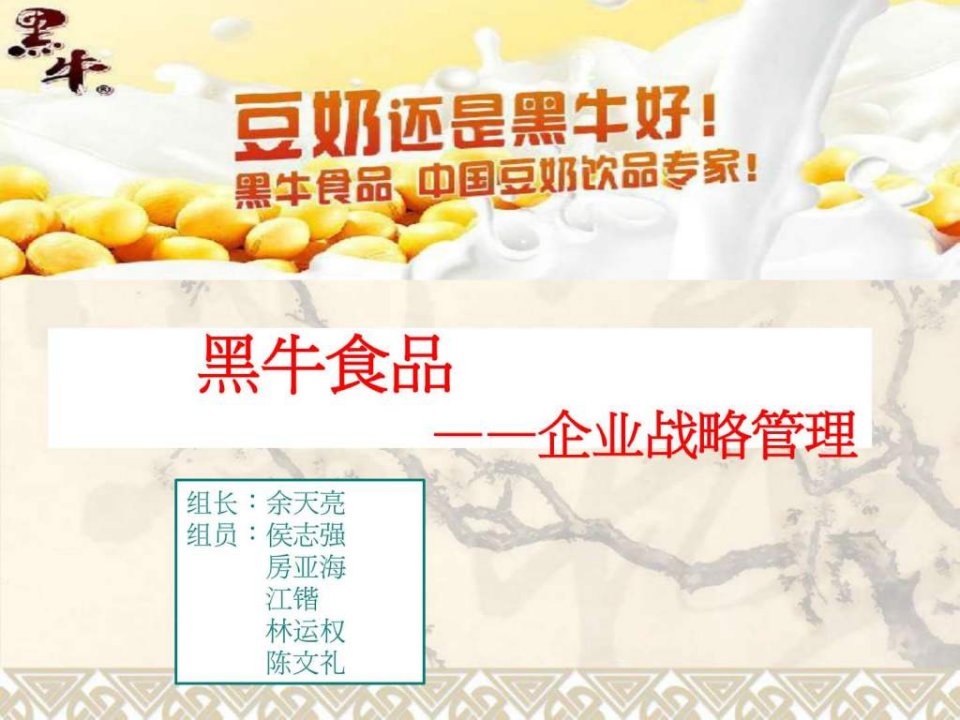 战略管理黑牛.ppt