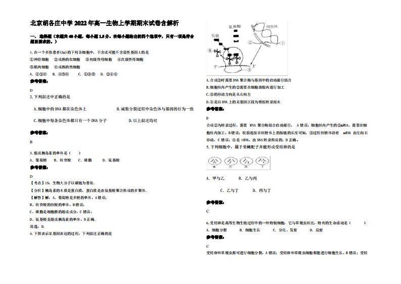 北京胡各庄中学2022年高一生物上学期期末试卷含解析