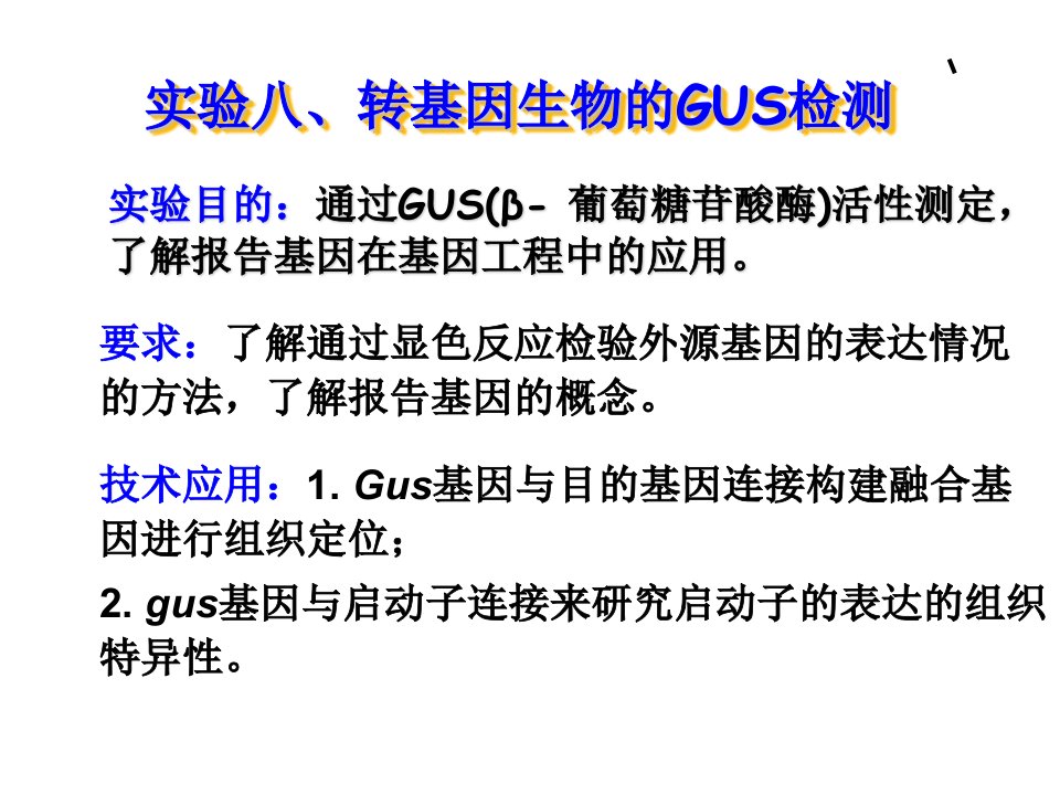 实验八、转基因生物的GUS检测课件