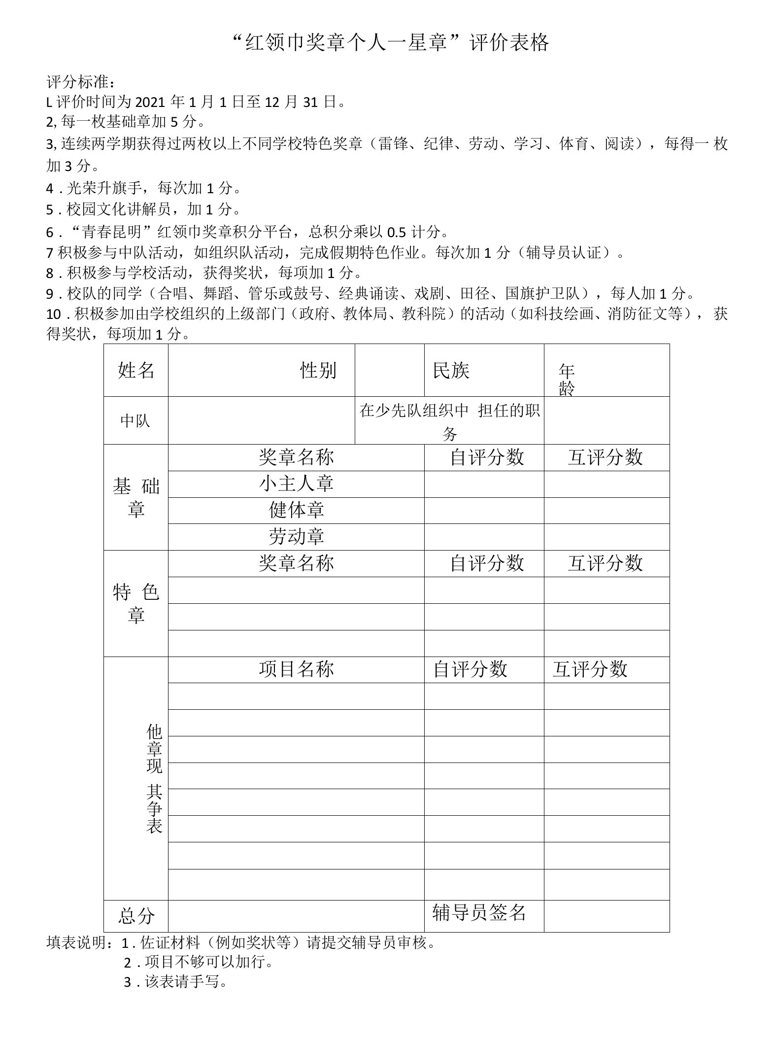 红领巾奖章个人一星章评价表格模板