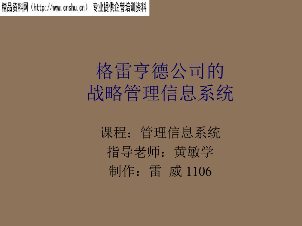 战略管理-格雷亨德公司的战略管理信息系统