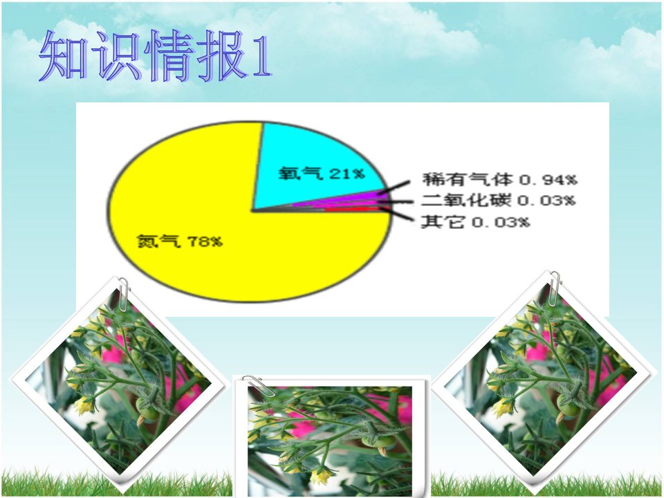 绿色植物与生物圈中的碳-氧平衡