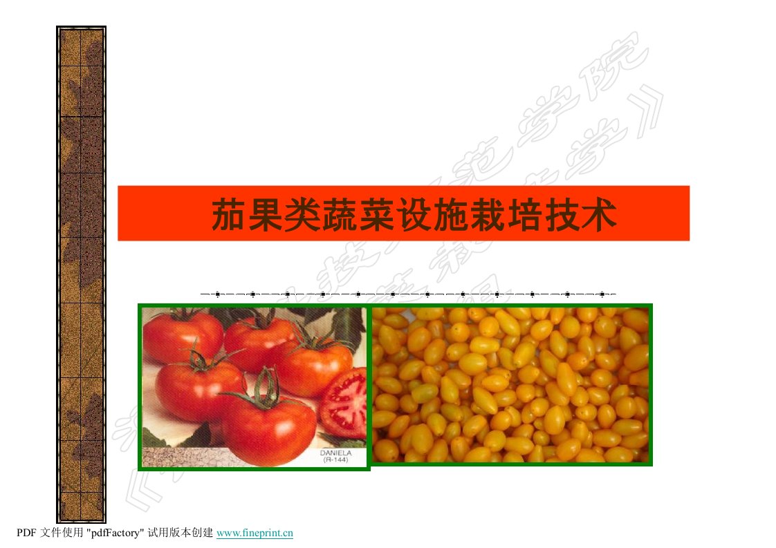 番茄设施栽培技术要点