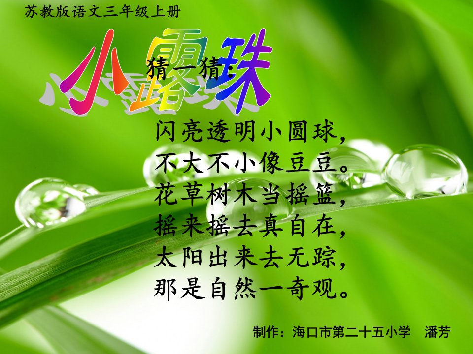 小露珠教学课件——潘芳