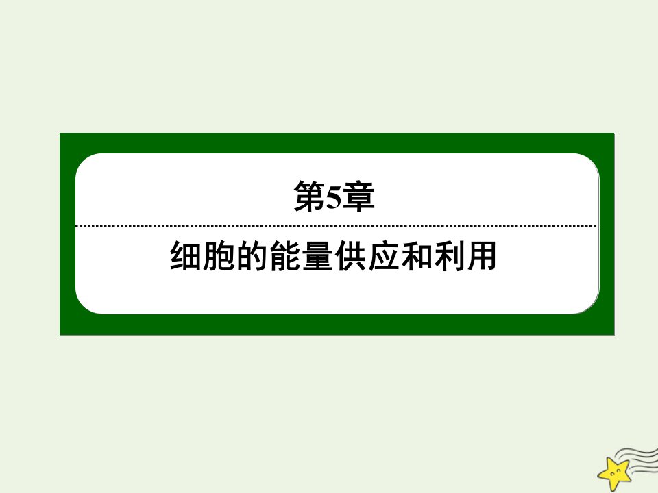 高中生物第5章细胞的能量供应和利用3ATP的主要来源__细胞呼吸课件新人教版必修1