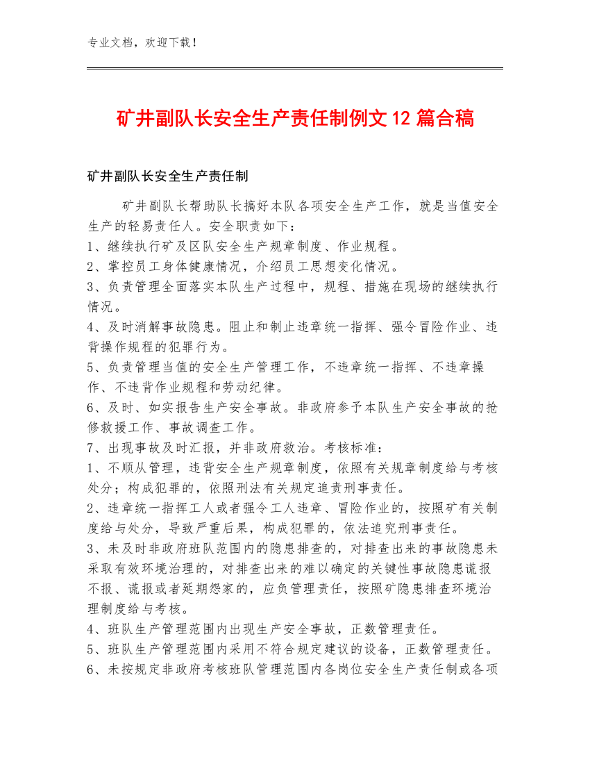 矿井副队长安全生产责任制例文12篇合稿