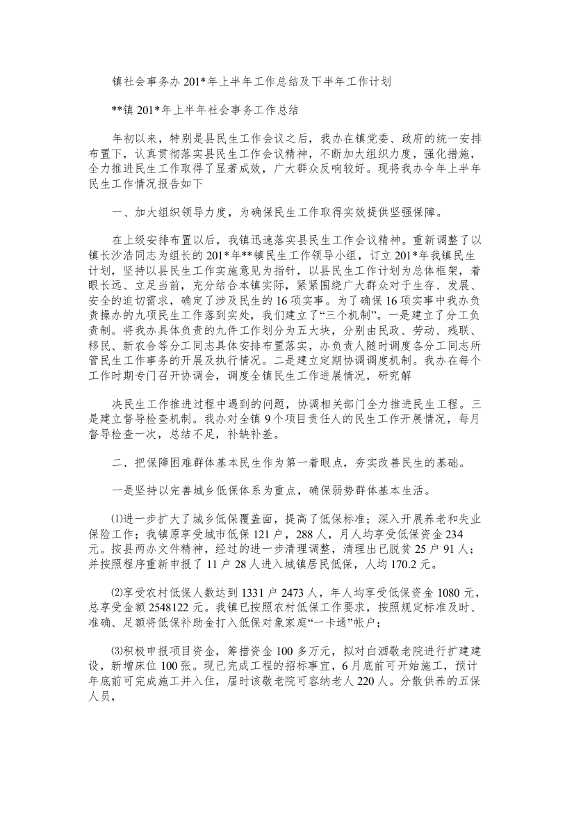 镇社会事务办上半年工作总结及下半年工作计划