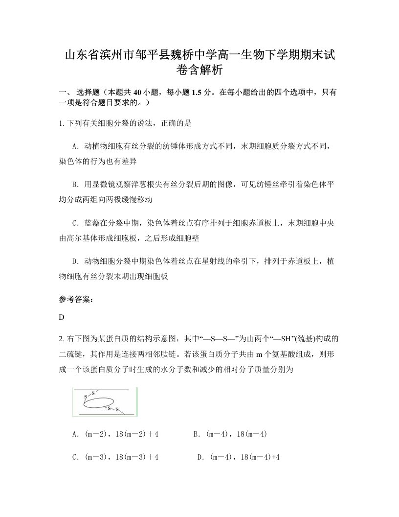 山东省滨州市邹平县魏桥中学高一生物下学期期末试卷含解析