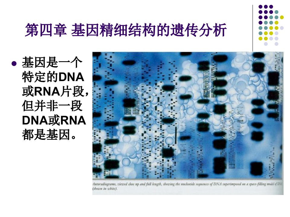 基因精细结构的遗传分析