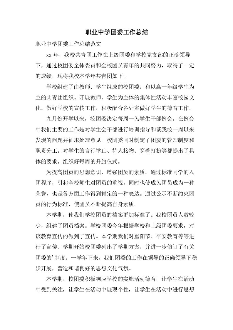 职业中学团委工作总结