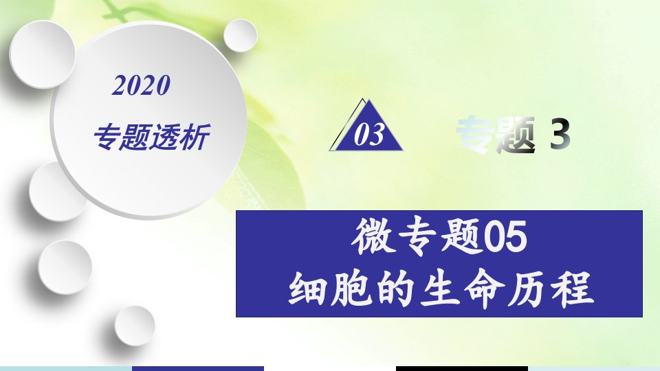 2020年高考高三生物二轮专题复习ppt课件专题3-微专题05-细胞的生命历程