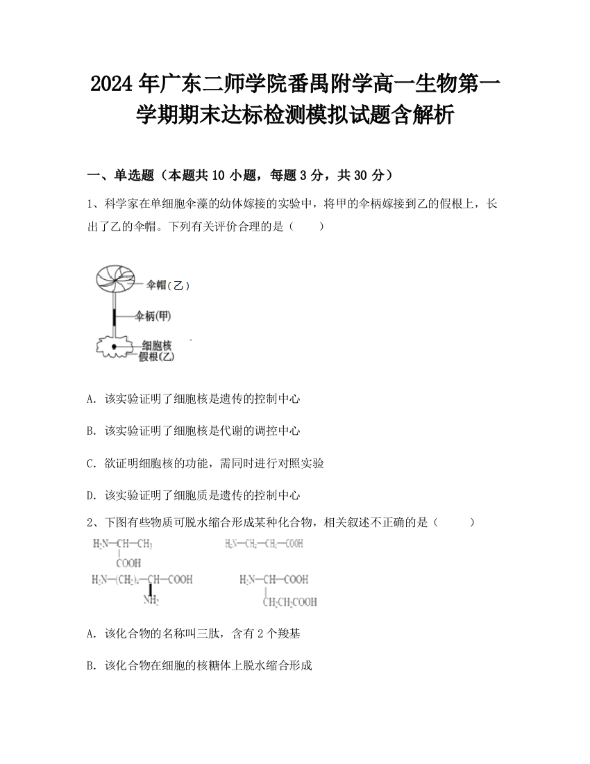 2024年广东二师学院番禺附学高一生物第一学期期末达标检测模拟试题含解析