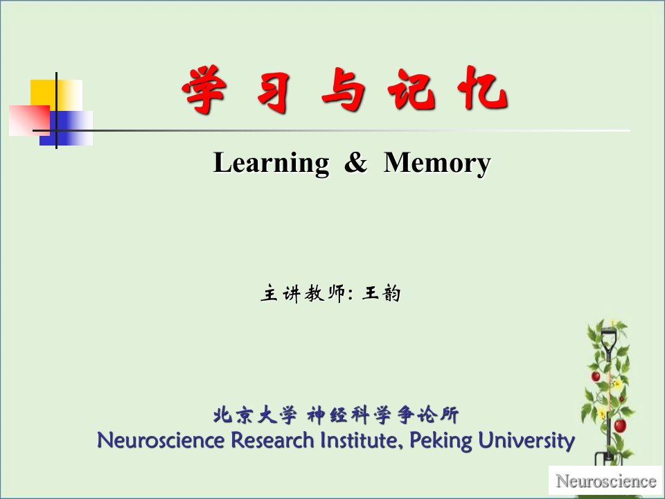 北大神经生物学课件8-1学习与记忆