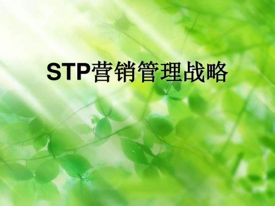 STP营销管理战略-L.ppt