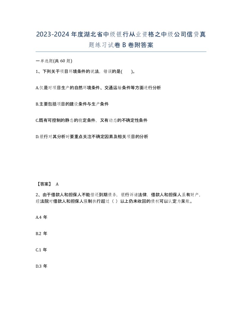 2023-2024年度湖北省中级银行从业资格之中级公司信贷真题练习试卷B卷附答案