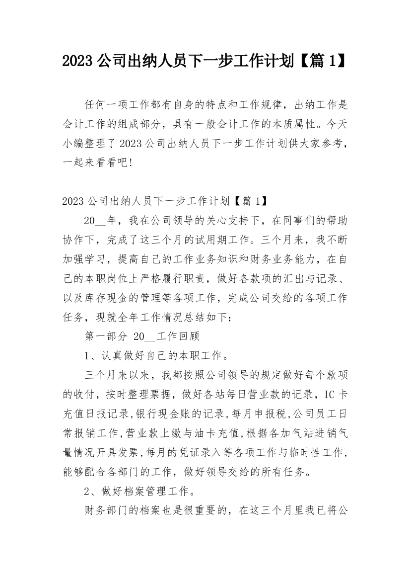 2023公司出纳人员下一步工作计划【篇1】