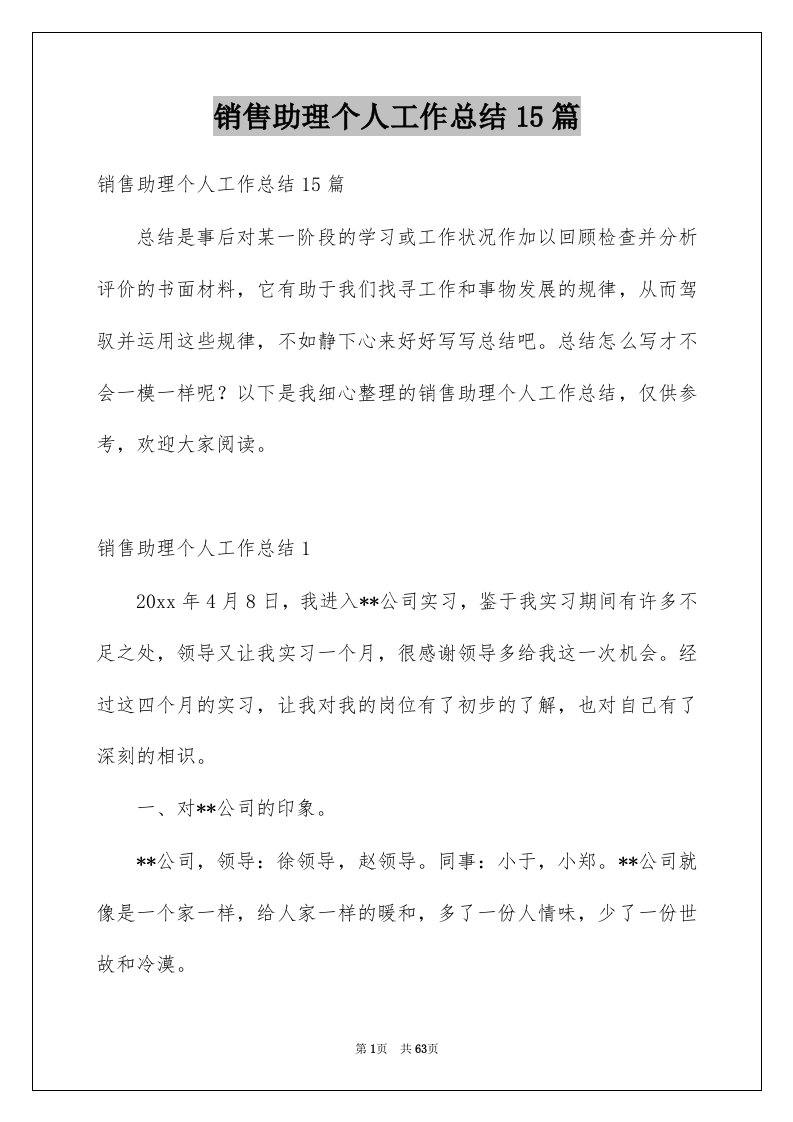 销售助理个人工作总结15篇精选