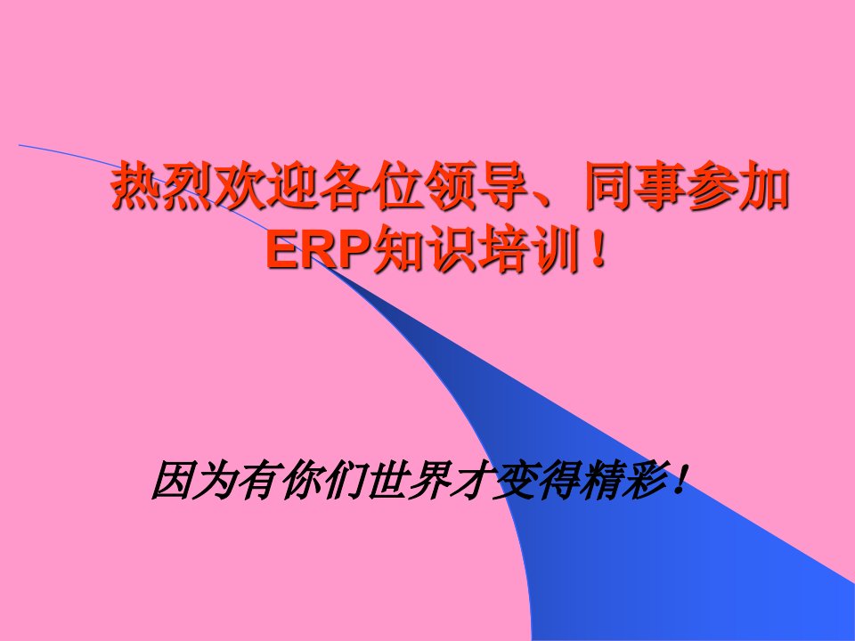 精选企業ERP