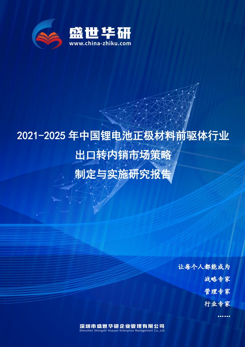 2021-2025年中国锂电池正极材料前驱体行业外销企业转型内销市场发展策略制定与实施研究报告