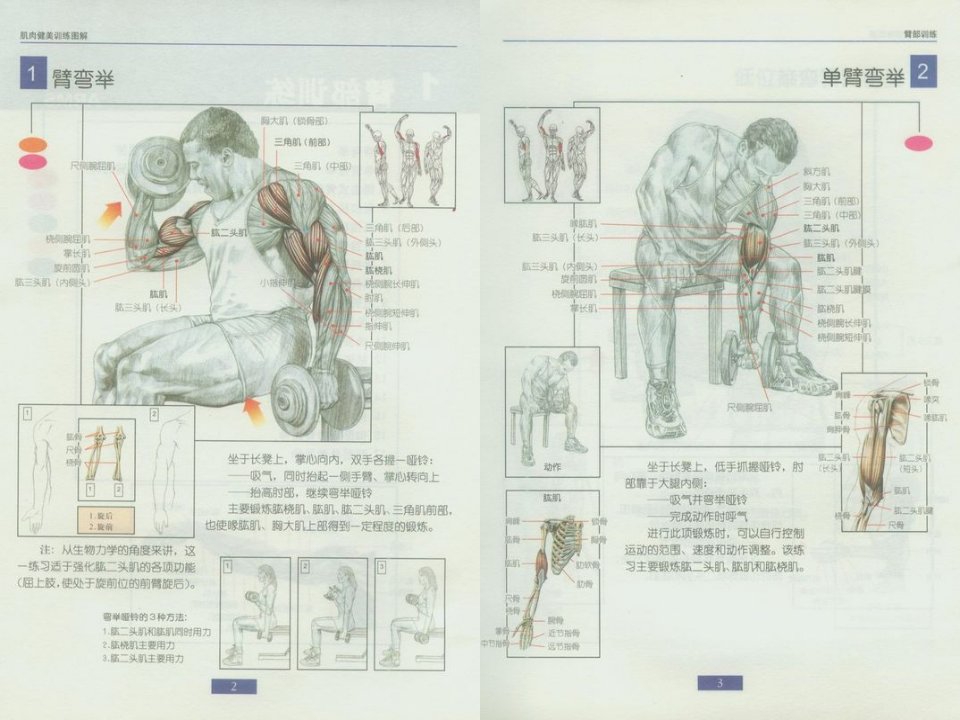 最新哑铃健身精美图解ppt课件PPT课件