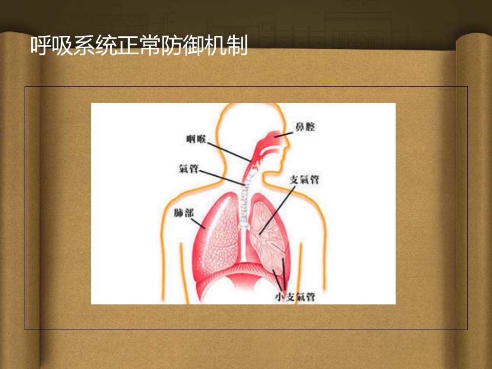 精选湿化与雾化治疗设备课件