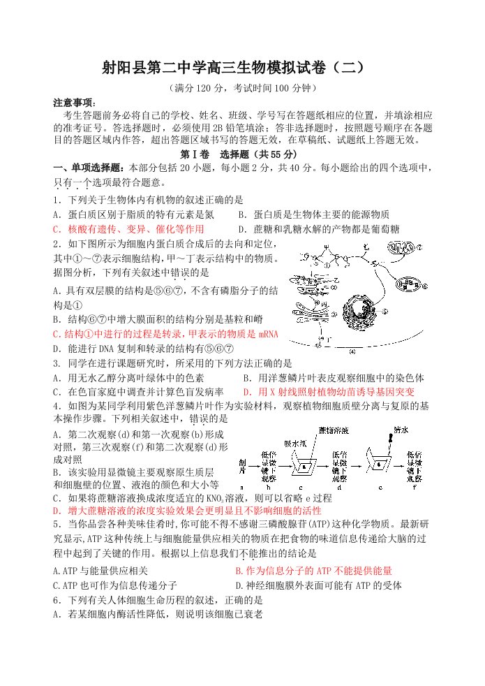 射阳县第二中学高三生物模拟试卷(二)