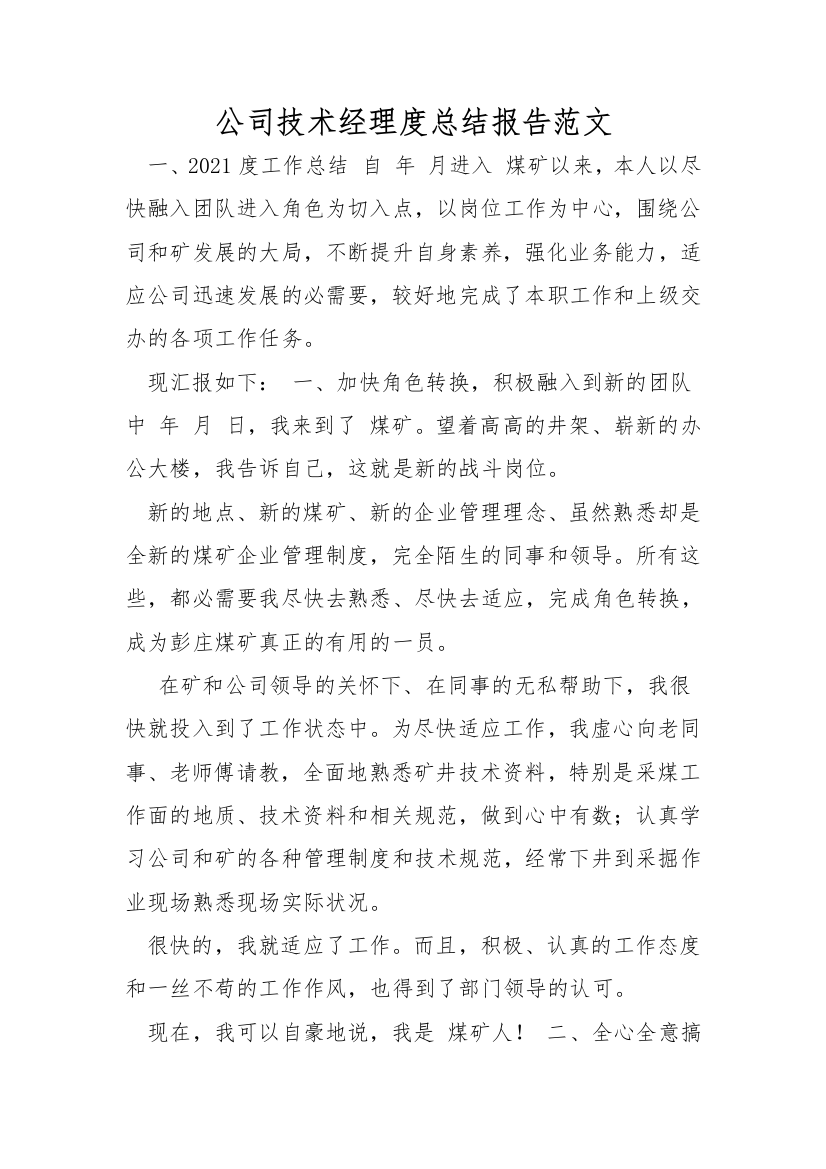 公司技术经理度总结报告范文