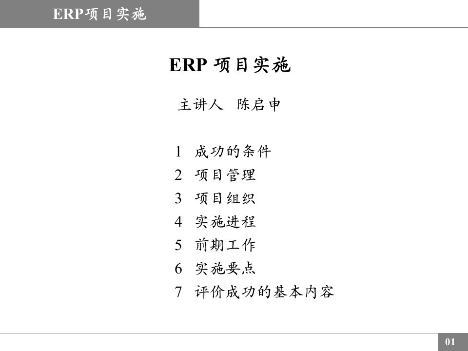 ERP项目实施