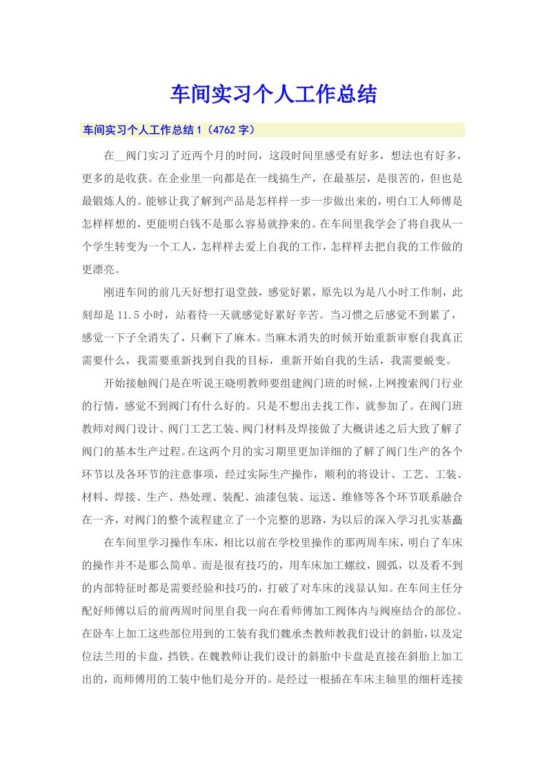 车间实习个人工作总结