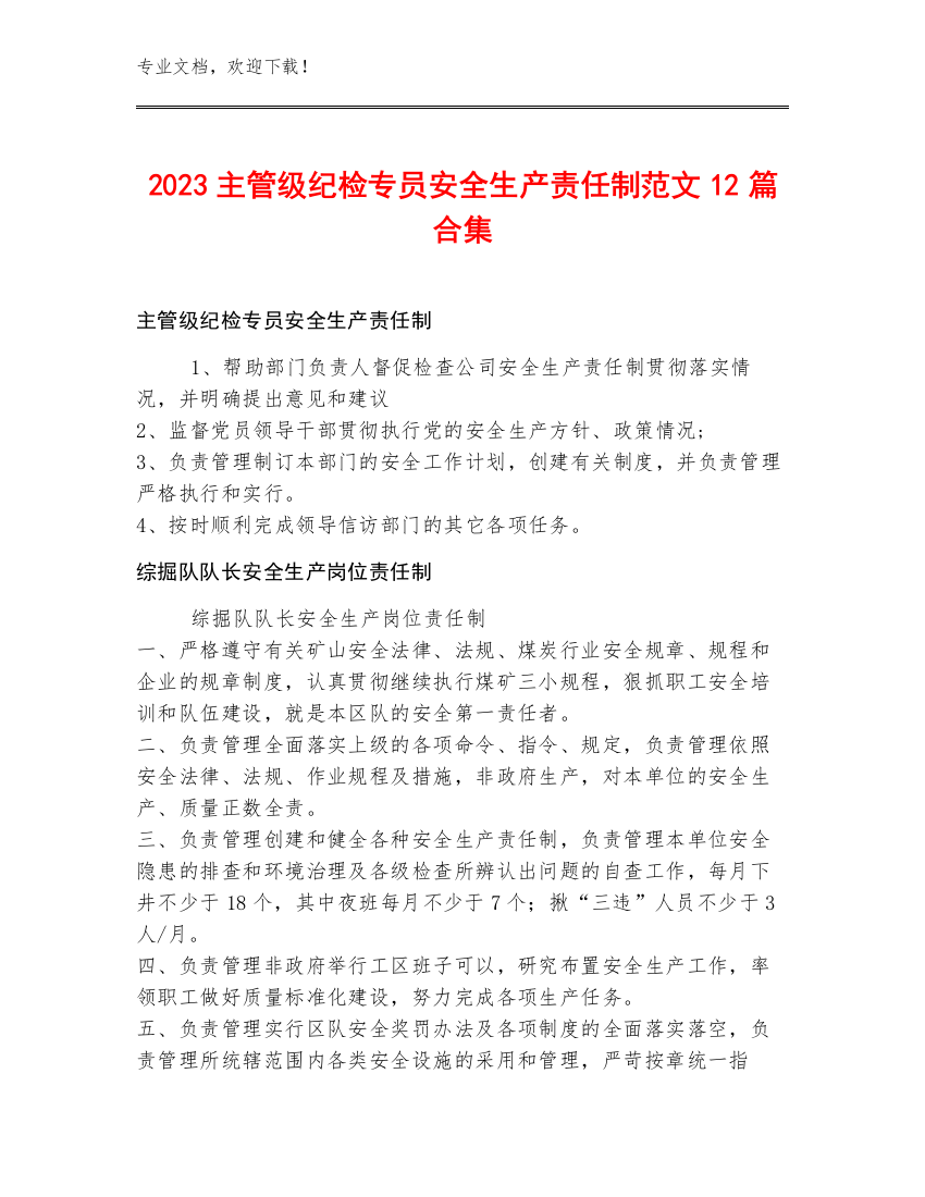 2023主管级纪检专员安全生产责任制范文12篇合集