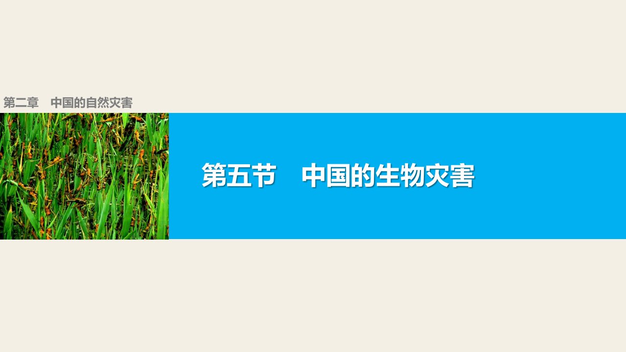 16-17版：2.5中国的生物灾害（步步高）