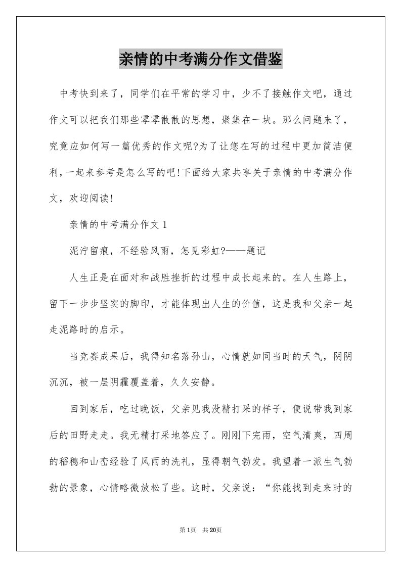 亲情的中考满分作文借鉴