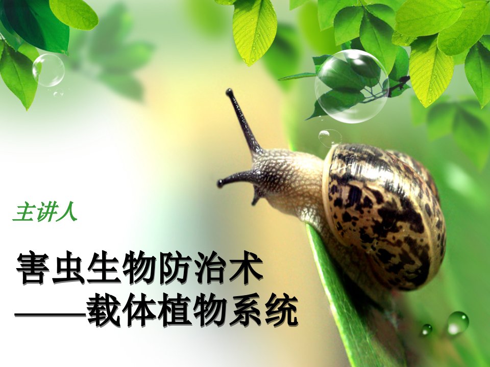 害虫生物防治术——载体植物系统