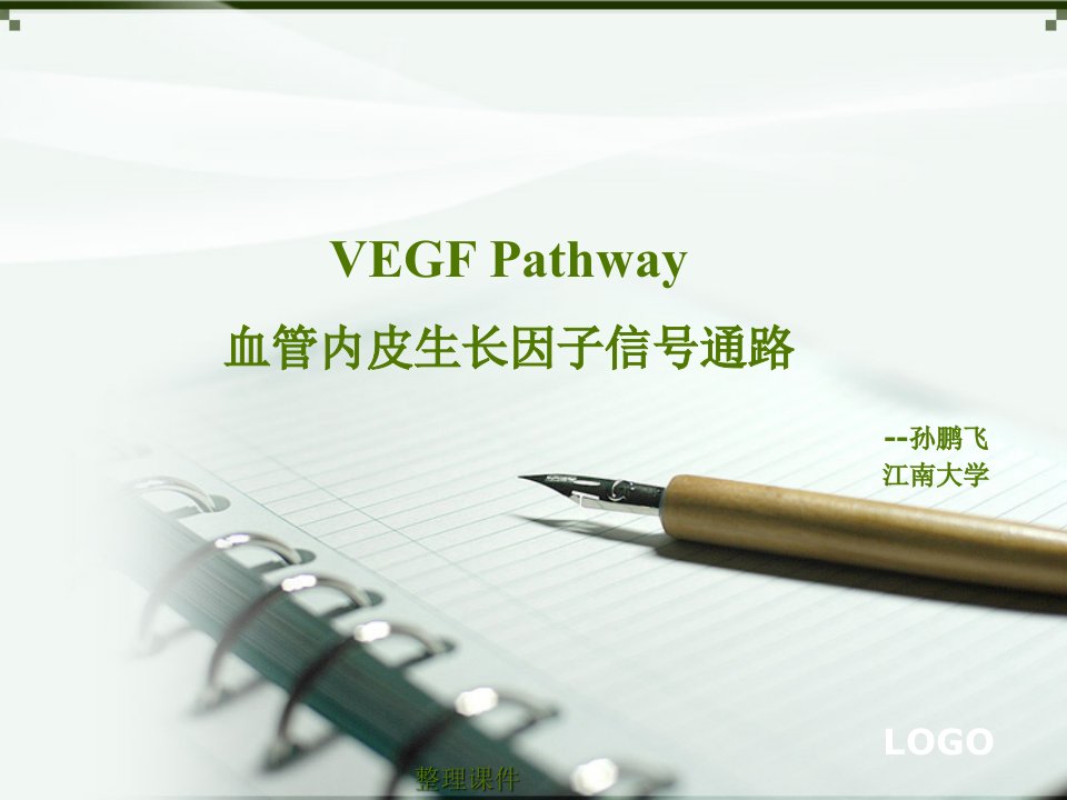 VEGF(血管内皮生长因子)信号通路