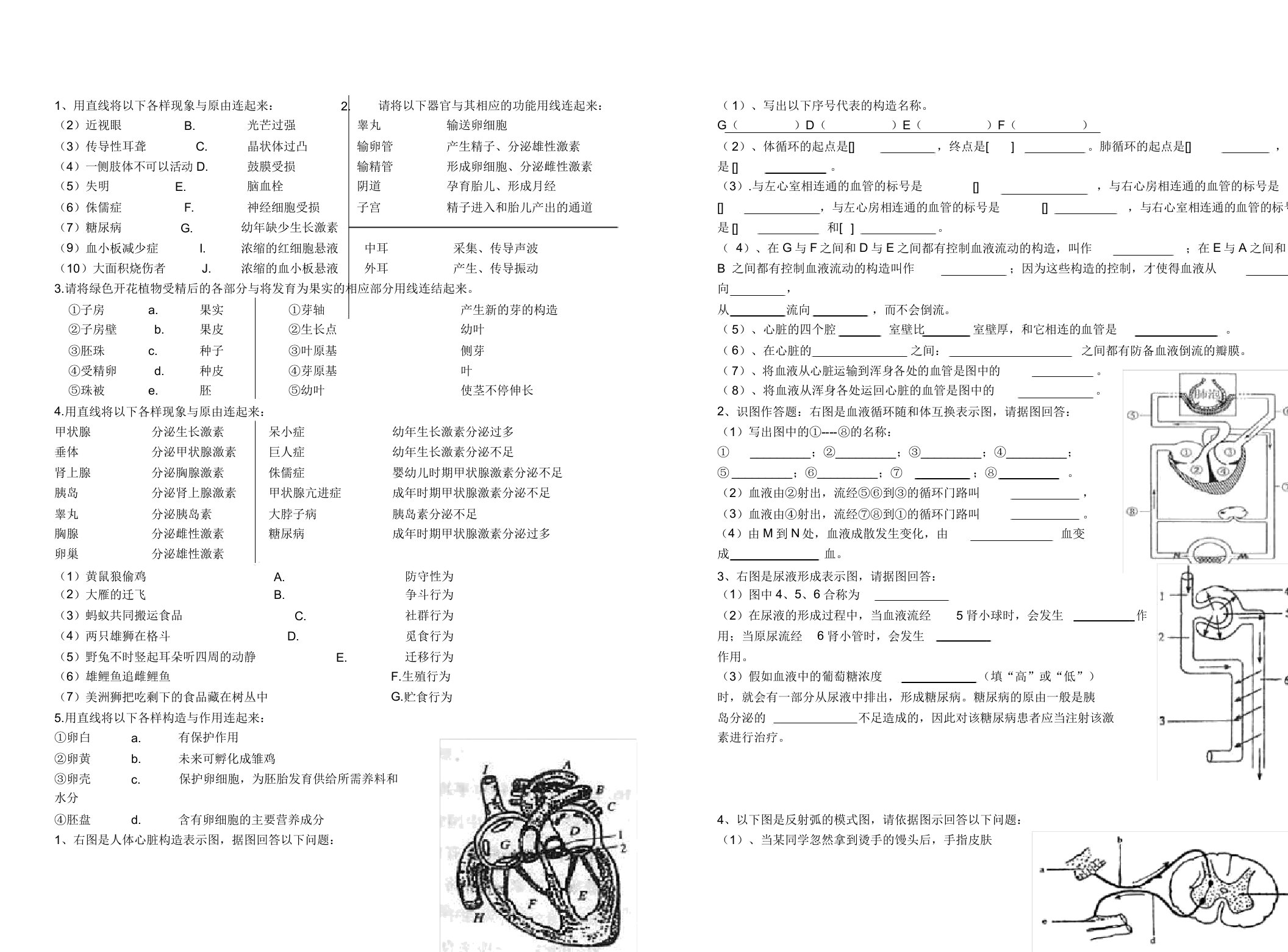 平罗七中八年级生物上册看图分析题复习