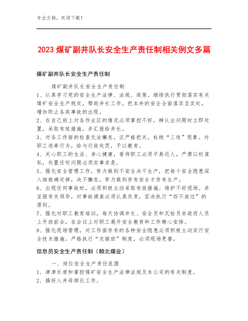 2023煤矿副井队长安全生产责任制例文多篇