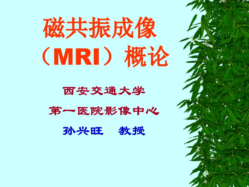 磁共振成像(MRI)概论