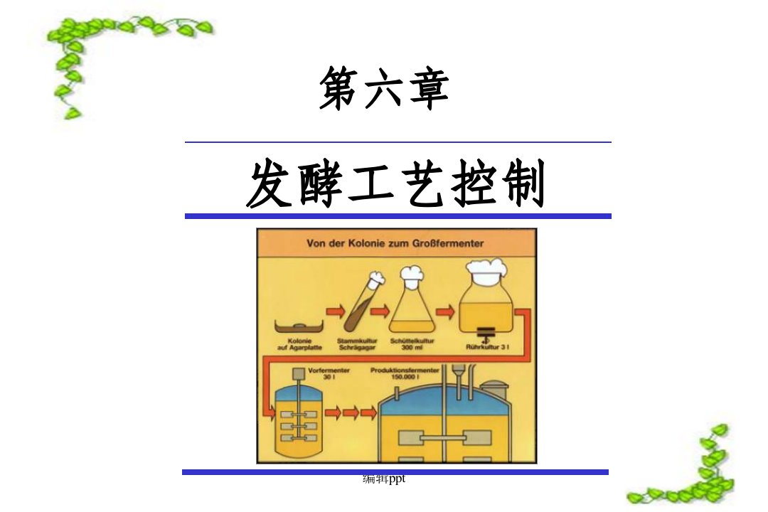 发酵条件及工艺控制