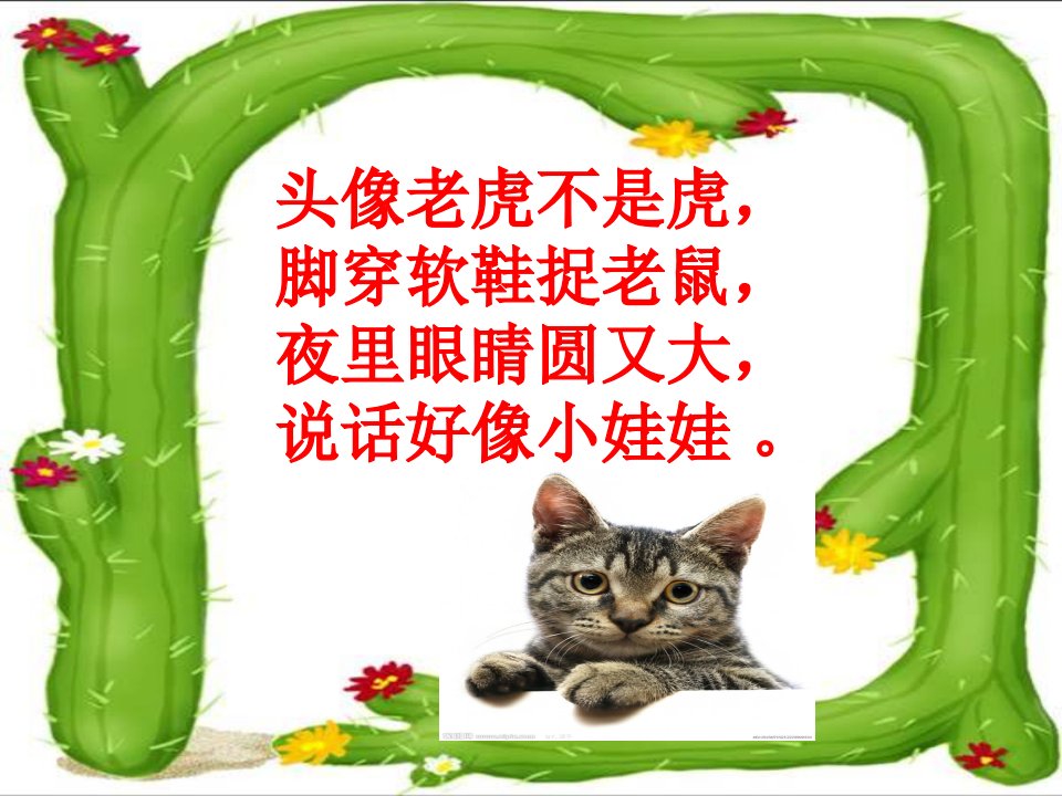 郑振铎《猫》ppt课件(16页)