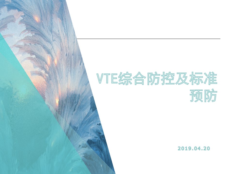 VTE综合防控及标准预防课件