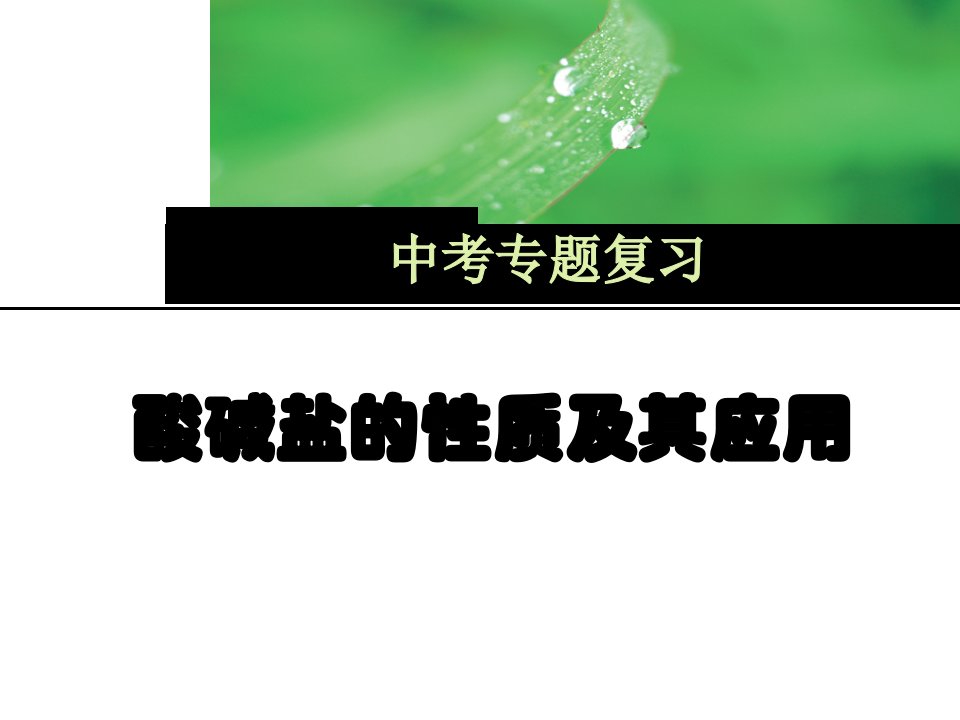 化学《酸碱盐复习》公开课件