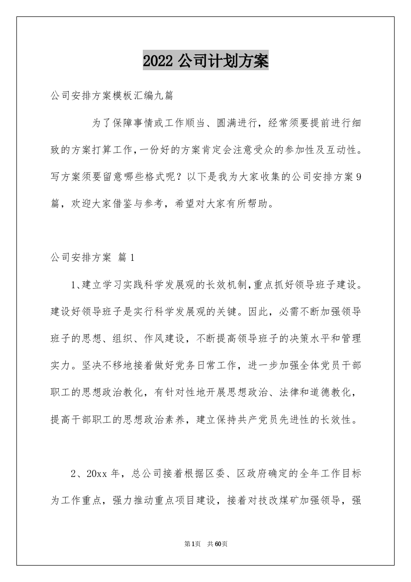 2022公司计划方案_8