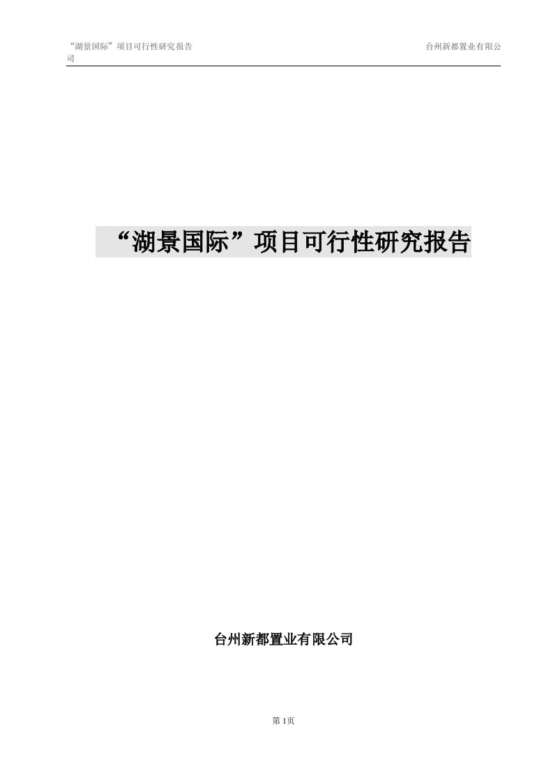 望湖国际项目可行性研究报告