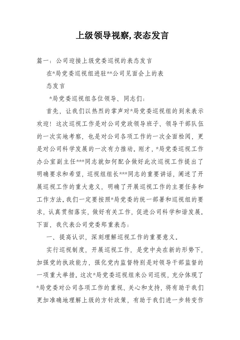 上级领导视察表态发言