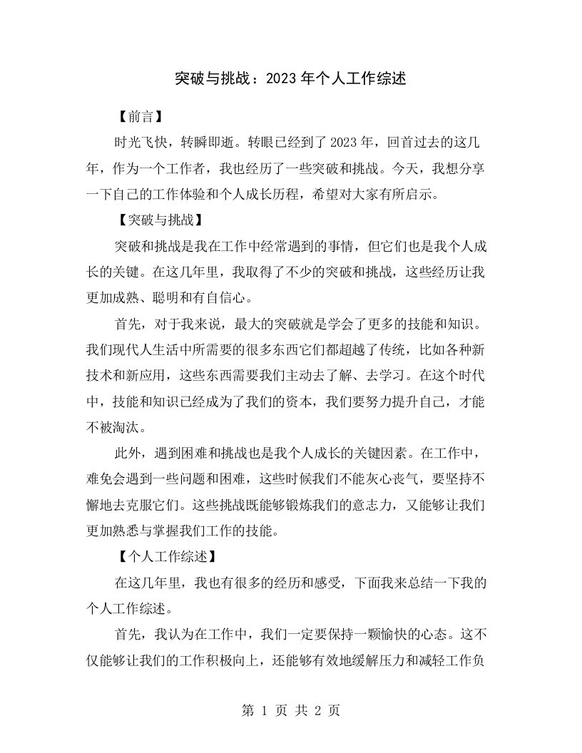 突破与挑战：2023年个人工作综述