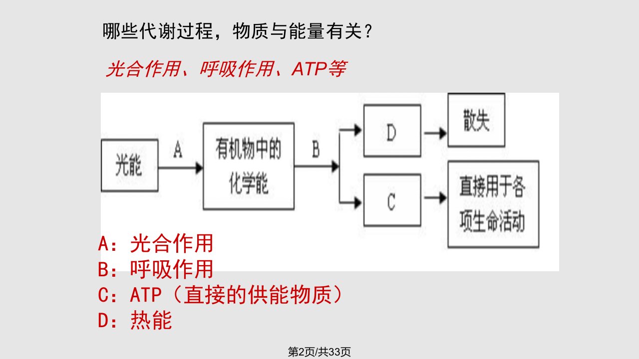 生态系统的能量流动王玉